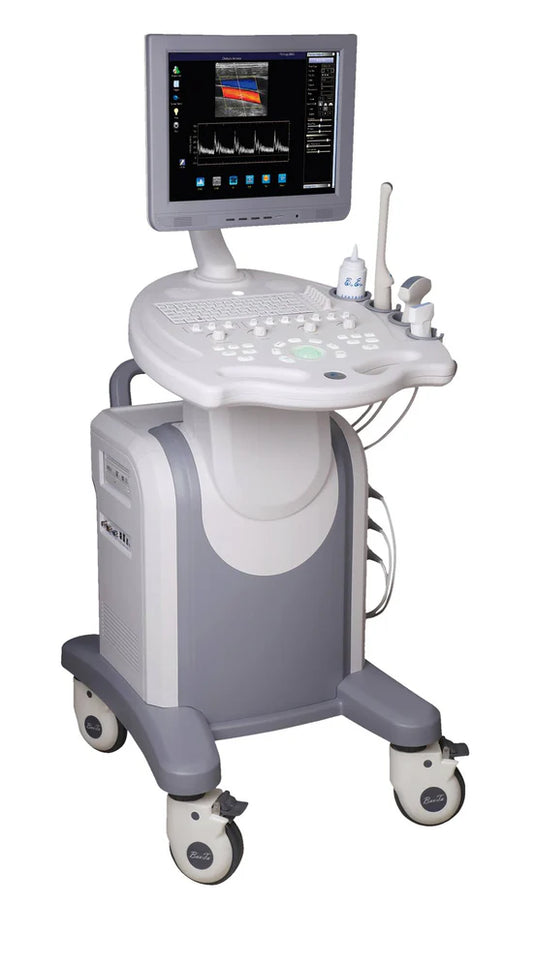 Ultrasound Colour trolley 15" LCD Monitor - 2 Probes