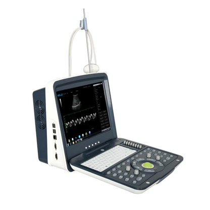 WED-190 Ultrasound Black/White Portable - with 15" LCD Monitor & 1 Probe