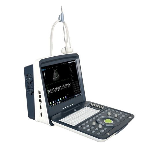 WED-190 Ultrasound Black/White Portable - with 15" LCD Monitor & 1 Probe